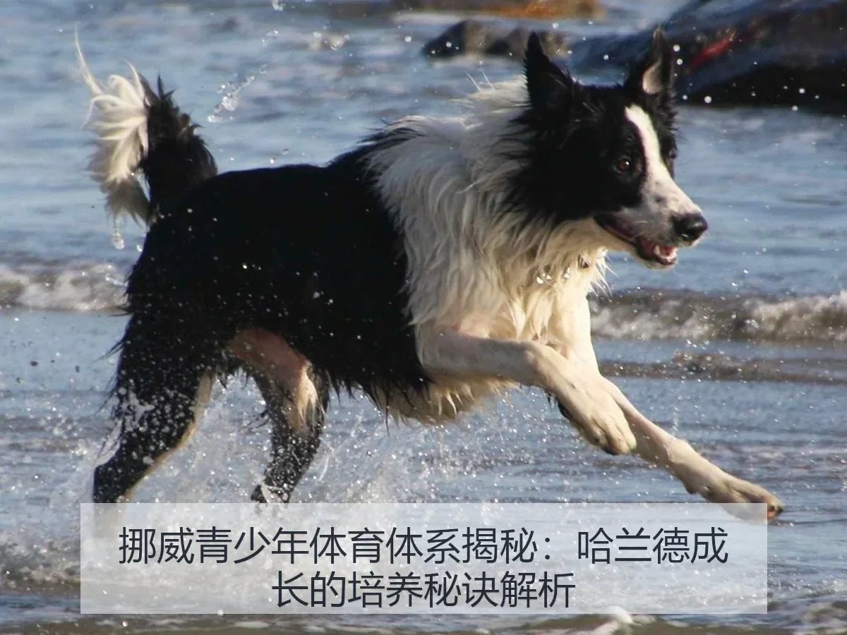 挪威青少年体育体系揭秘：哈兰德成长的培养秘诀解析